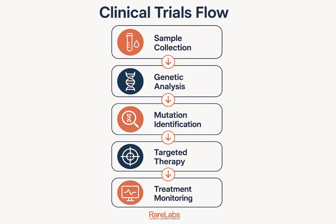 Infographic outlining precision medicine clinical trial stages