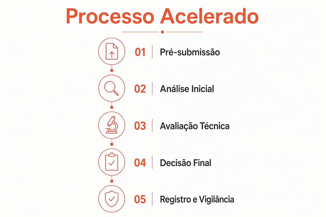 Infográfico apresentando as principais fases do processo de aprovação regulatória acelerada