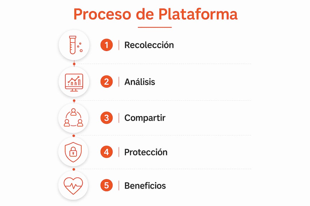 Infografía sobre el funcionamiento de una plataforma de datos dirigida a enfermedades raras