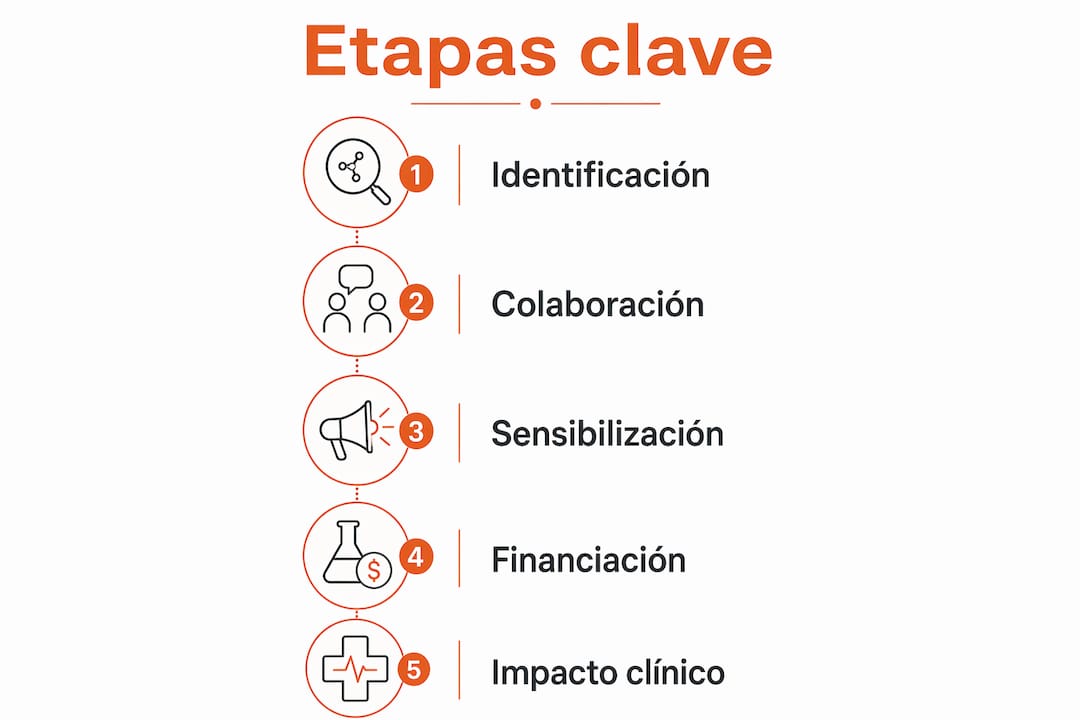 Infografía que presenta las fases fundamentales del impulso y la promoción de la ciencia