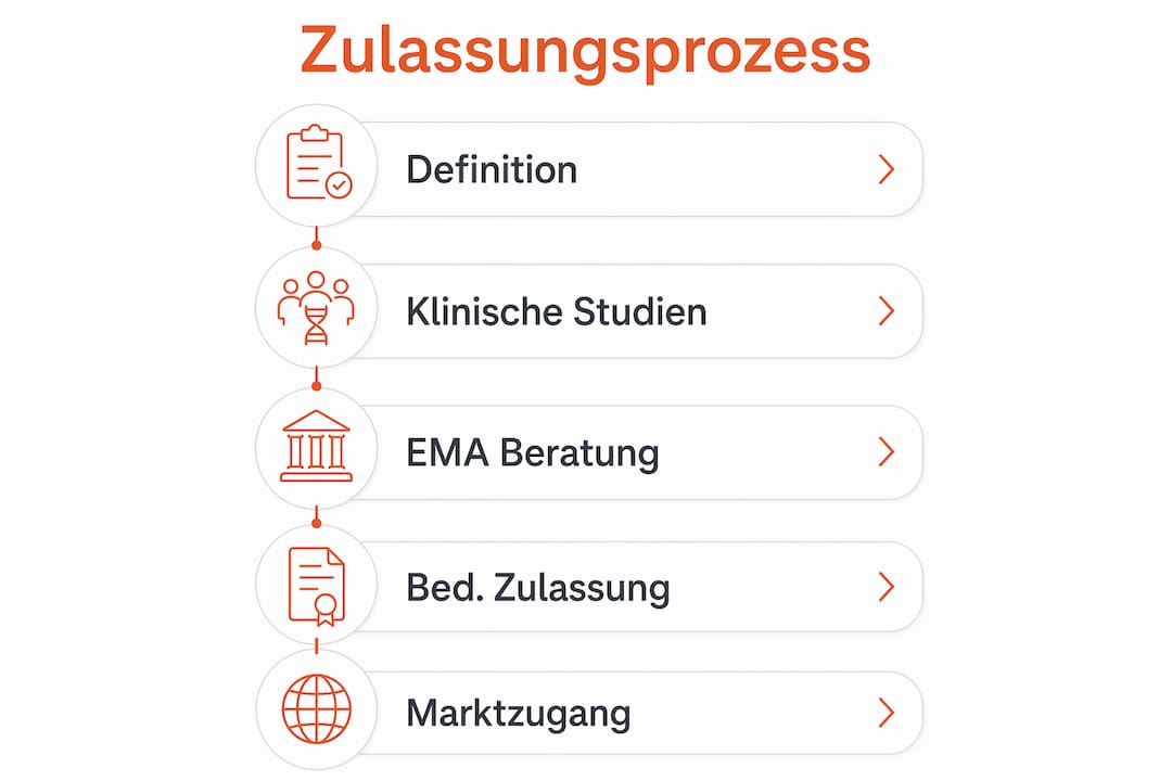 Eine Infografik veranschaulicht die fünf zentralen Schritte im Zulassungsverfahren für Medikamente gegen seltene Krankheiten.