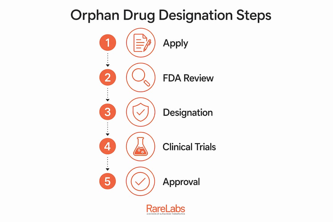 Infographic illustrating orphan drug designation process steps