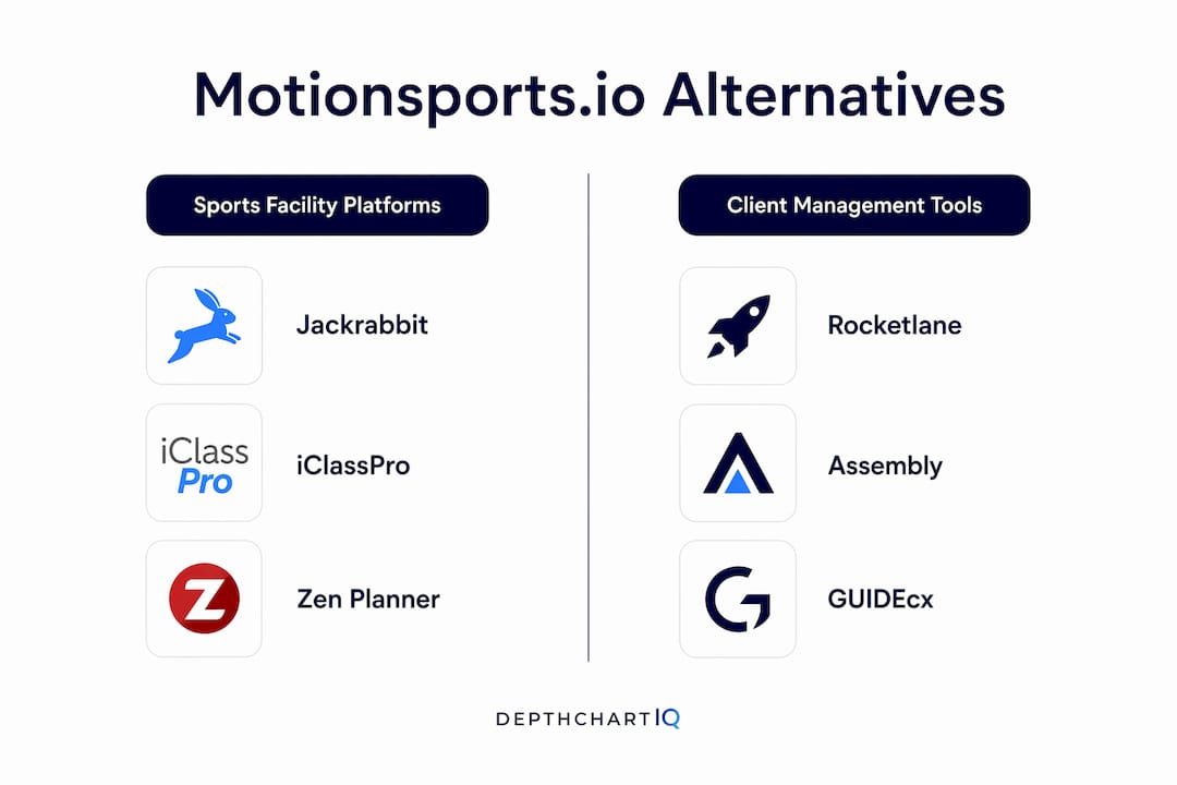 Infographic showing two main categories of motionsports.io alternatives