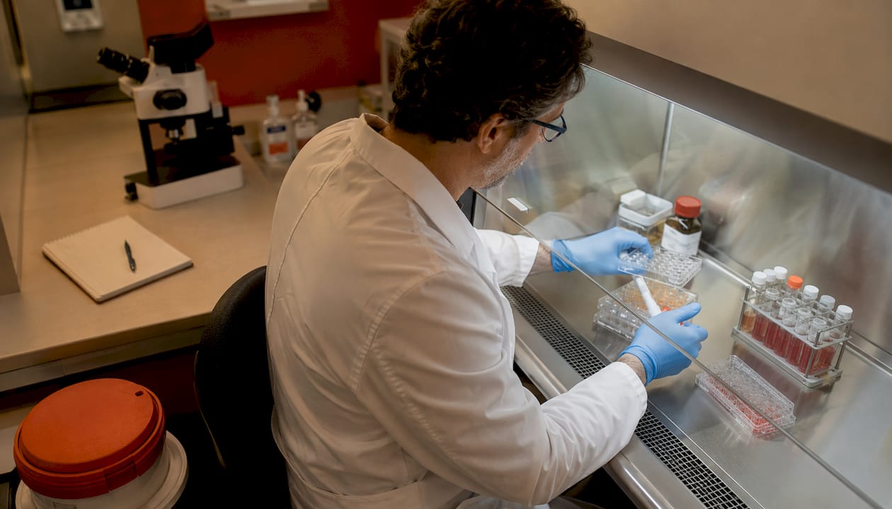Pesquisador trabalhando com células-tronco em laboratório