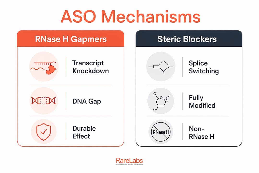 Infographic comparing RNase H gapmers and steric blocking ASO mechanisms
