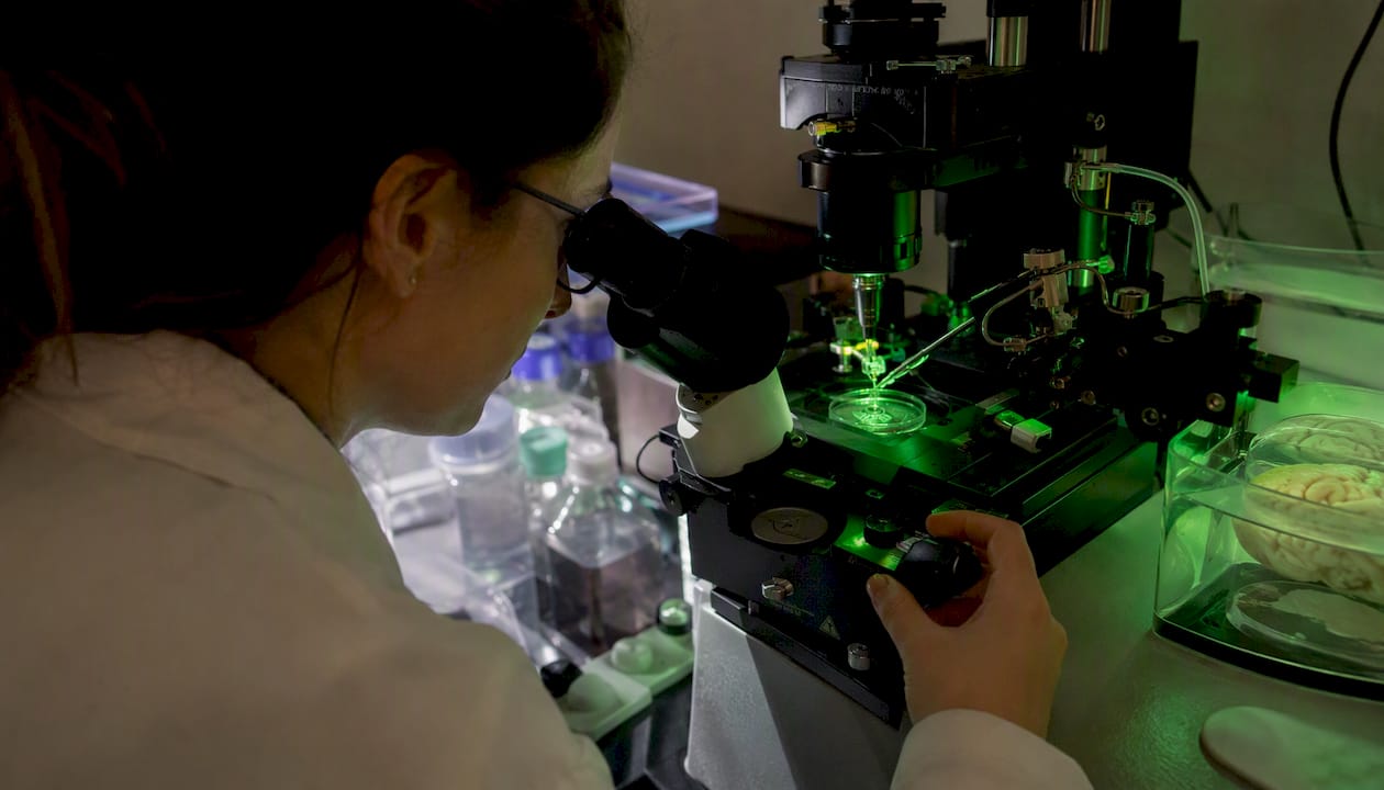 L’électrophysiologie par patch-clamp appliquée aux cellules neuronales permet d’étudier en détail les propriétés électriques des neurones, notamment leurs courants ioniques et leur activité synaptique. Cette technique de pointe est essentielle pour mieux comprendre le fonctionnement du cerveau et les mécanismes de communication cellulaire.