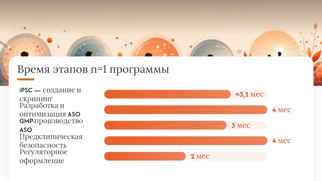 Этапы реализации программы N=1: сроки и структура расходов