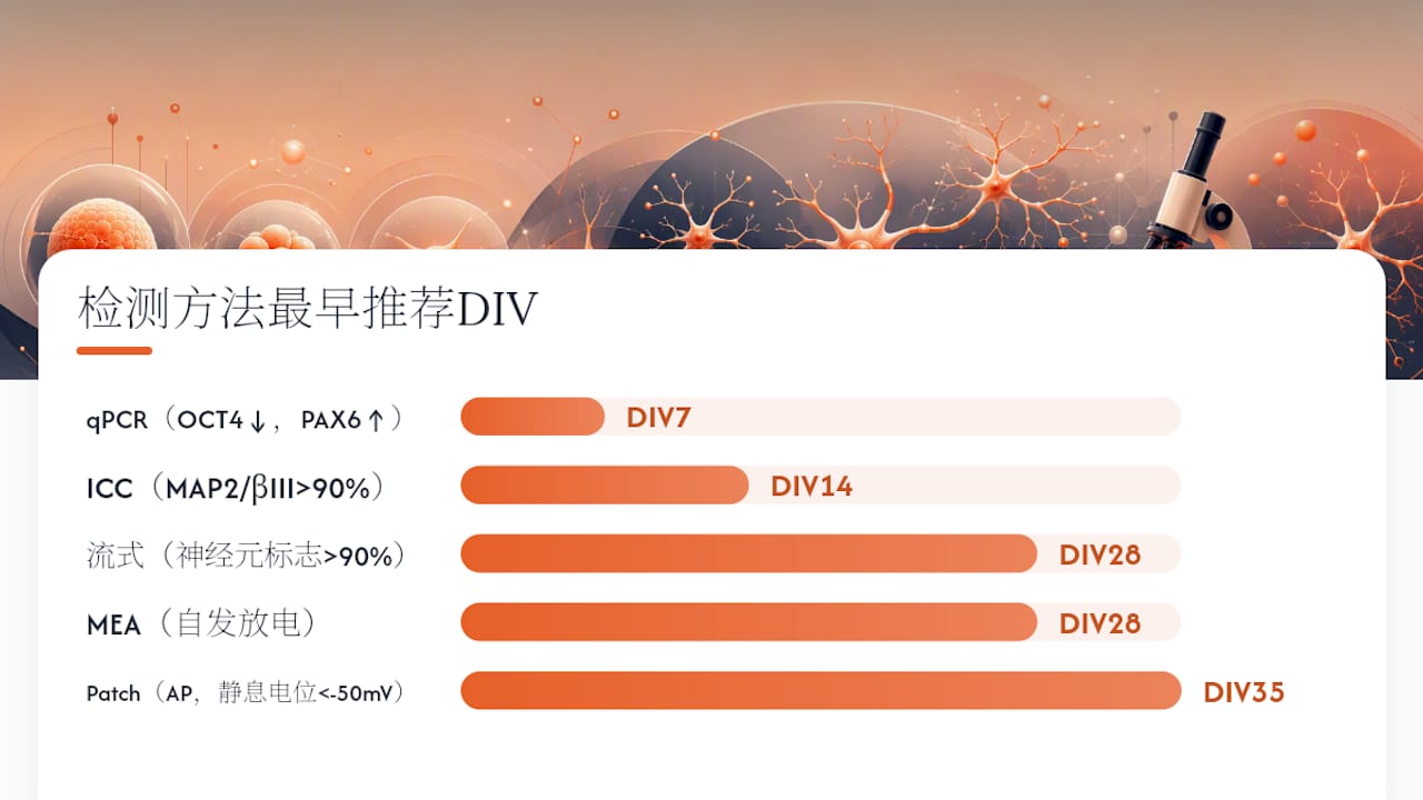 QC标志物与验证方法的时间进展对比