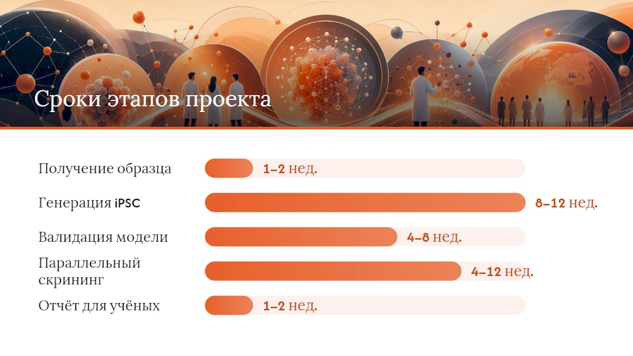 Этапы и сроки реализации исследовательских проектов в области редких заболеваний