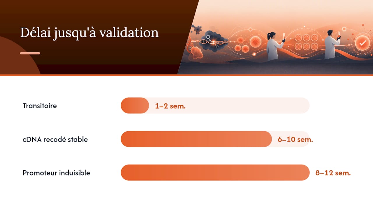 Tableau comparatif des différentes méthodes de sauvetage par CRISPR