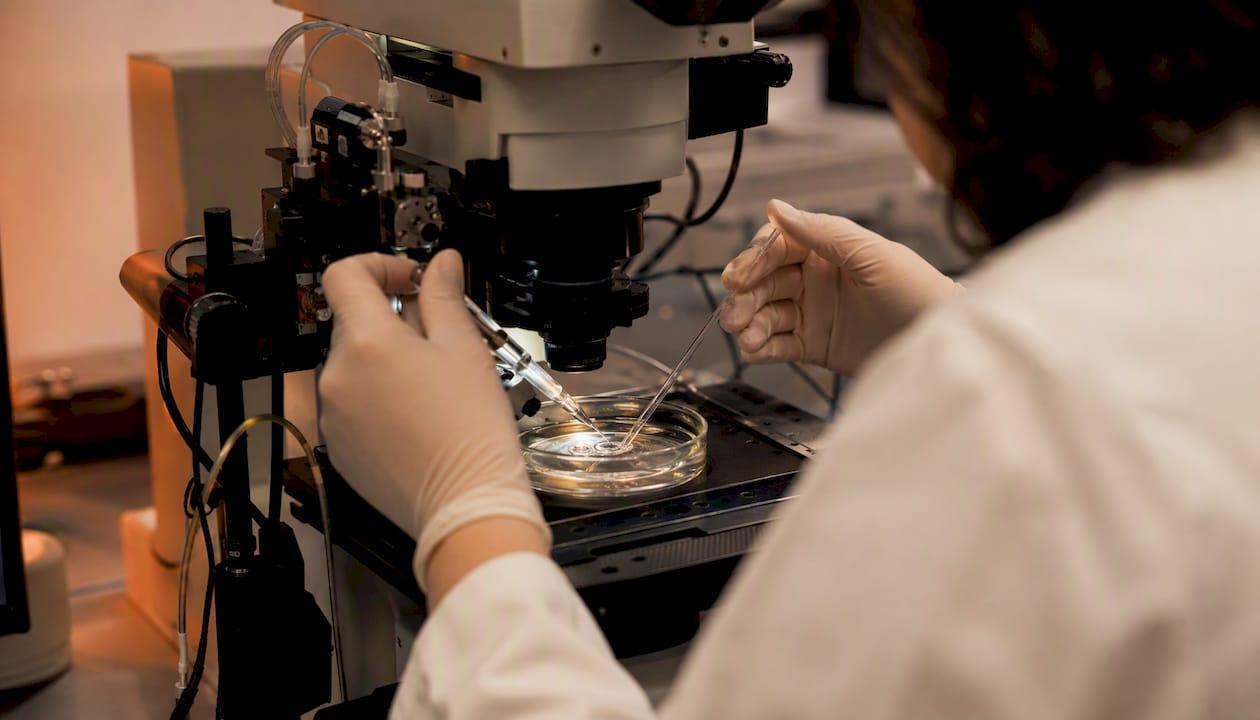 Mãos a realizar um patch clamp num cardiomiócito