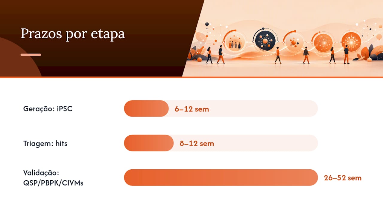 Cronograma das etapas da pesquisa e principais entregas