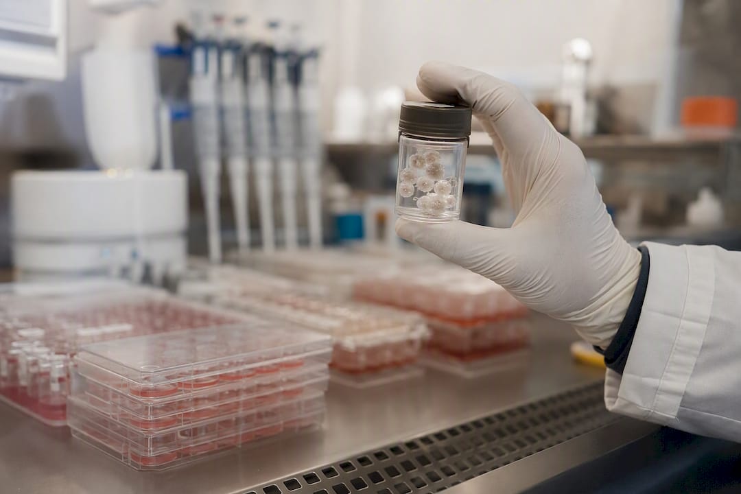 Mão a segurar frasco de cultura de organoides 3D