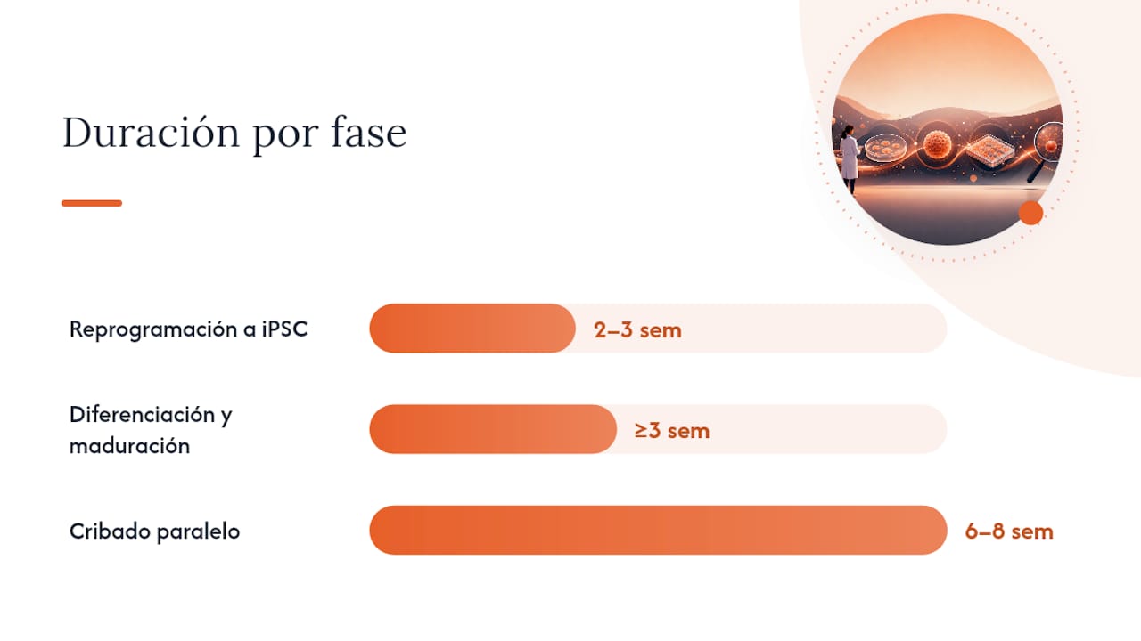 Checklist antes de solicitar o financiar un programa de cribado — overview diagram