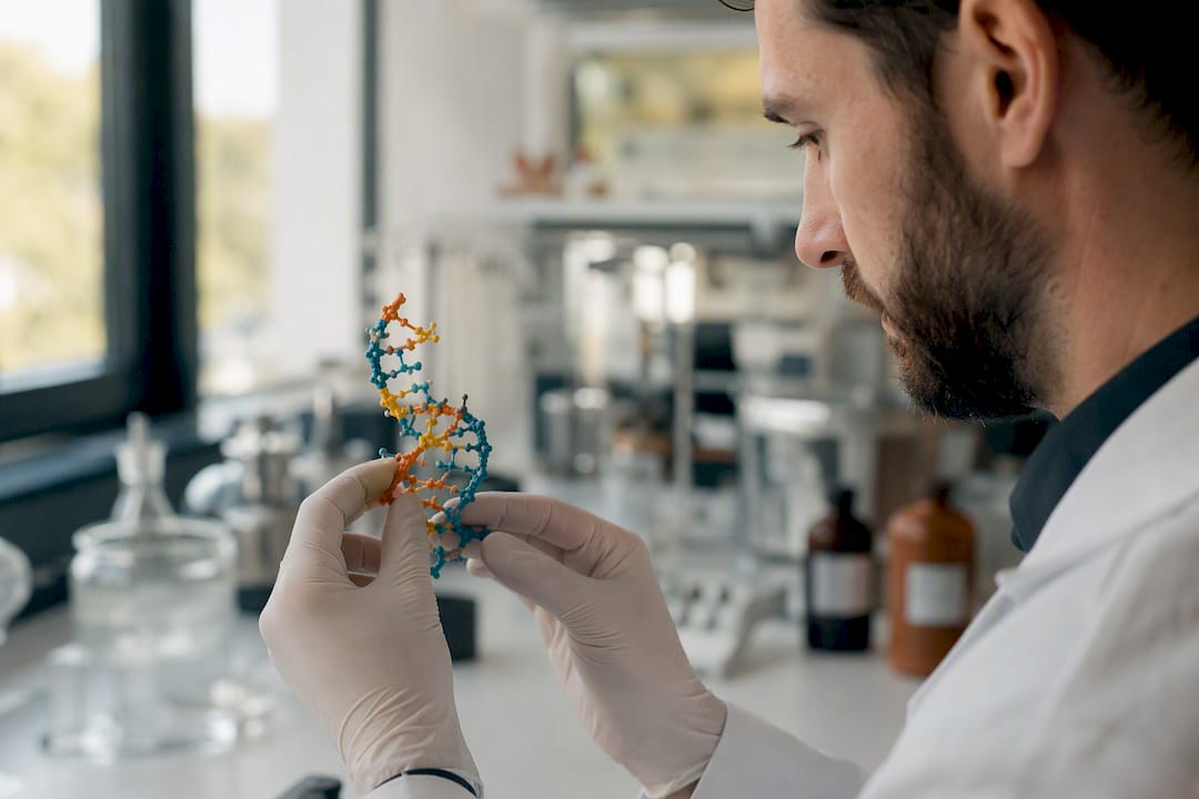 Modelo molecular de RNA dobrado na bancada do laboratório