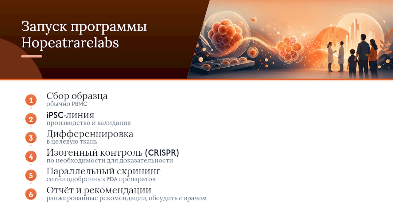 Как запустить программу с Hopeatrarelabs — overview diagram