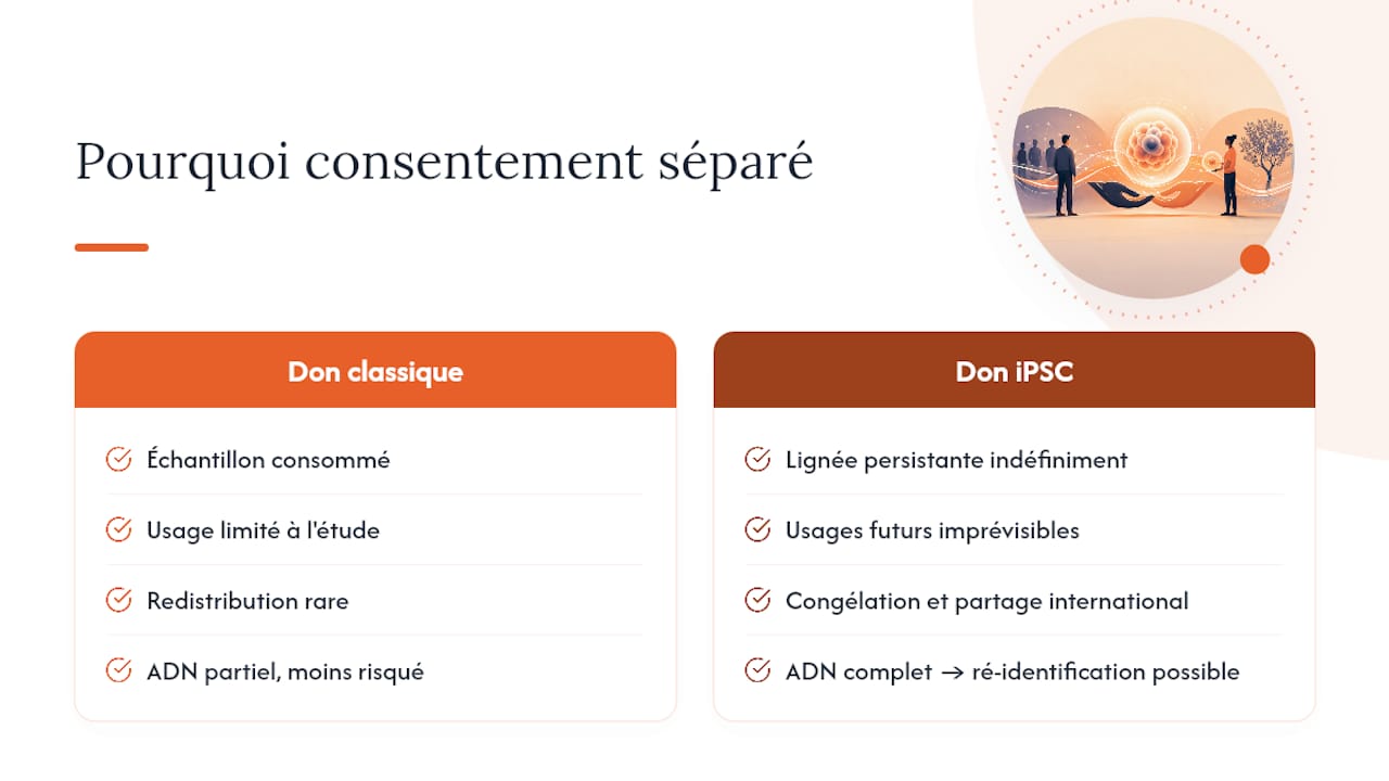 Pourquoi le don d'iPSC exige un consentement à part — overview diagram