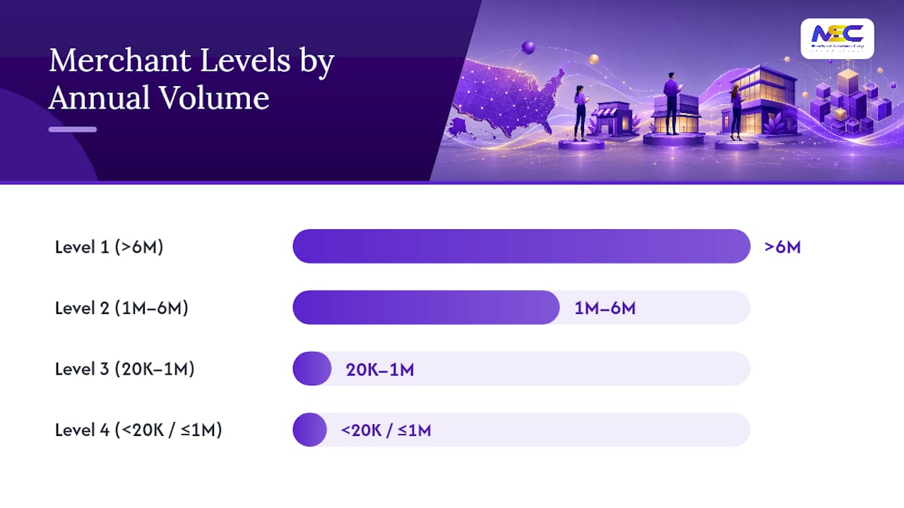 Comparison diagram of PCI DSS merchant compliance levels