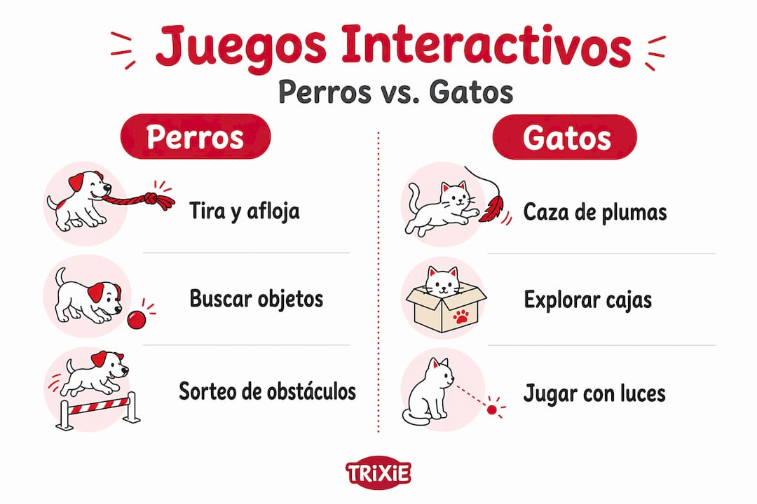 Análisis visual de los juguetes interactivos más populares para perros y gatos