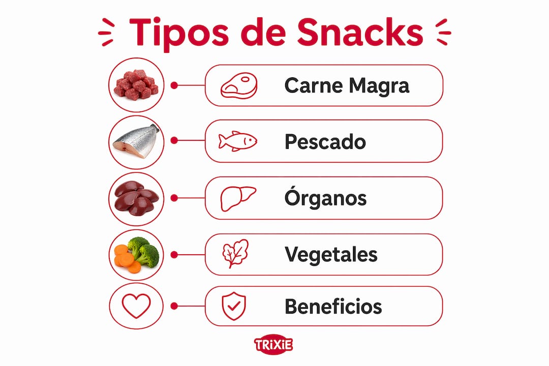 Infografía sobre las diferentes opciones de snacks naturales deshidratados que puedes ofrecer a tus mascotas