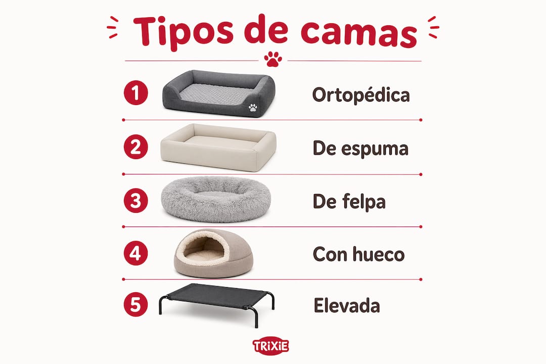 Infografía sobre las diferentes camas para mascotas y sus principales ventajas