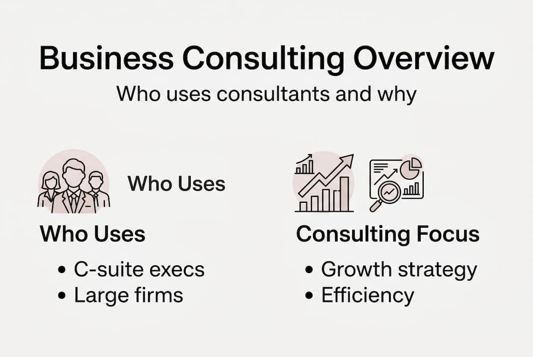 Infographic showing who uses consulting and focus areas