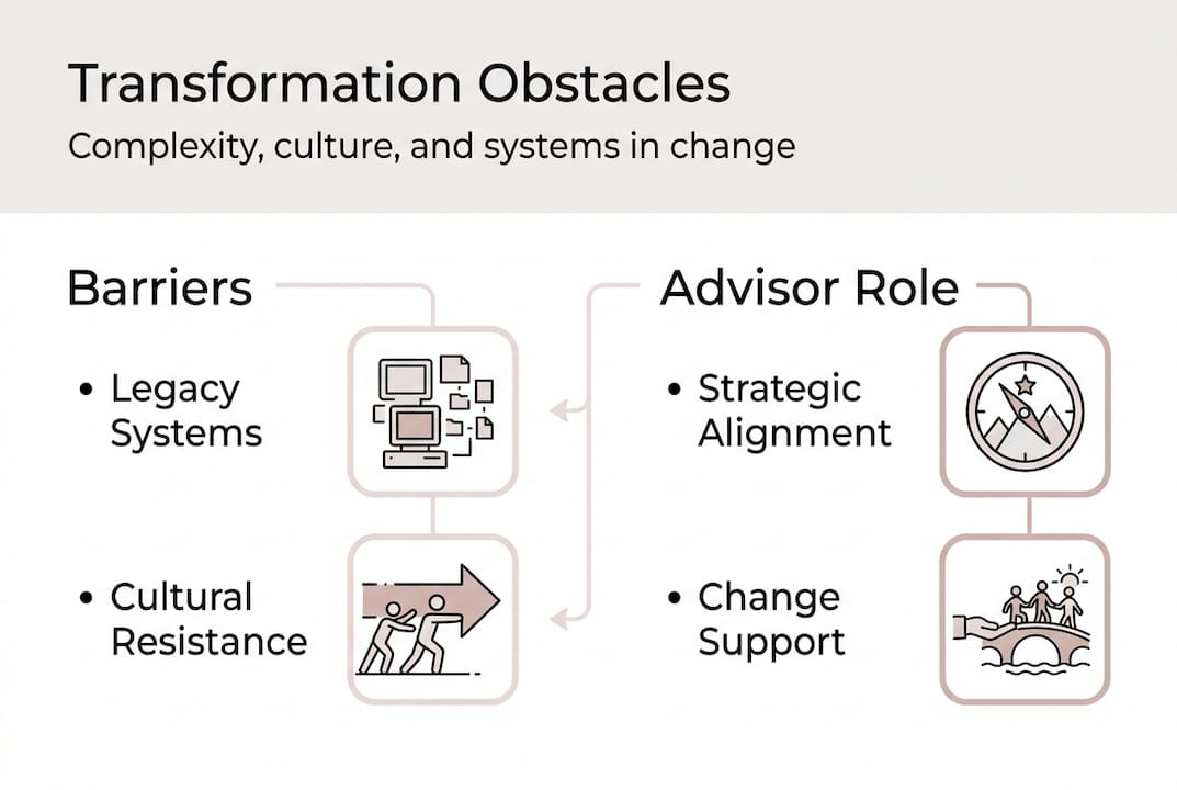 Infographic showing transformation barriers and advisory roles