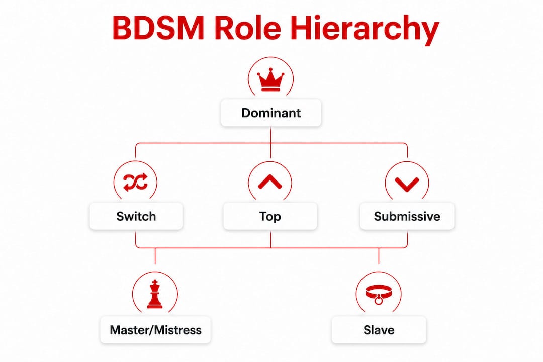 Infographic of BDSM role hierarchy and types