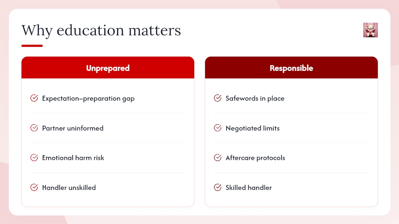 Why responsible kitten play education actually matters — overview diagram