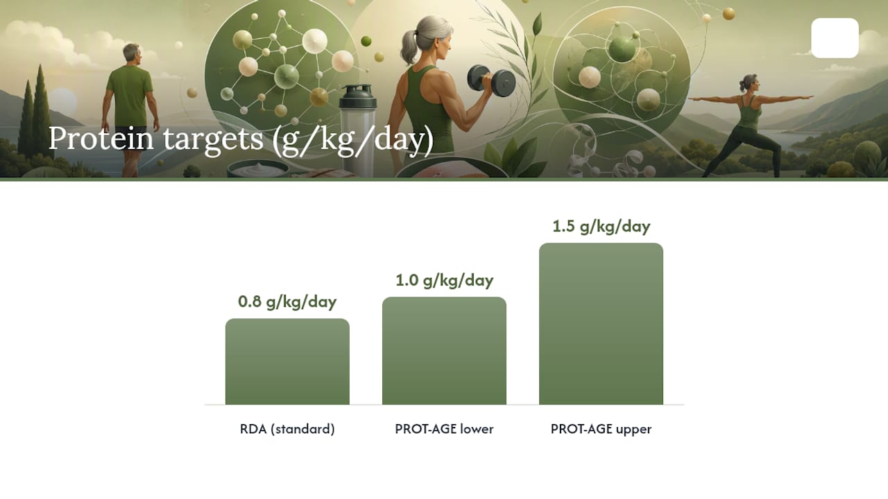 Why Older Adults Need More Protein Than the Standard RDA — overview diagram
