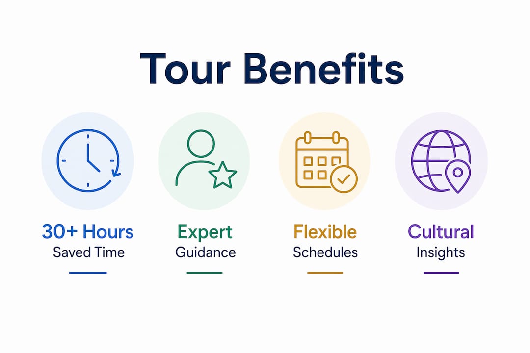 Infographic showing key benefits of sightseeing tours with four stat cards