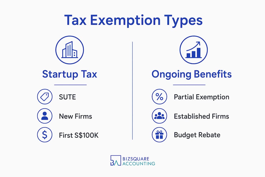 Infographic showing main types of Singapore tax exemptions