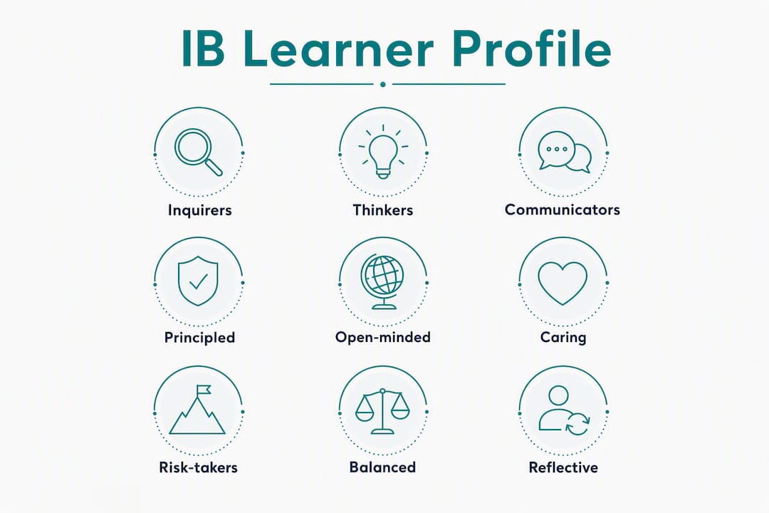 Infographic displaying IB learner profile traits in hierarchy