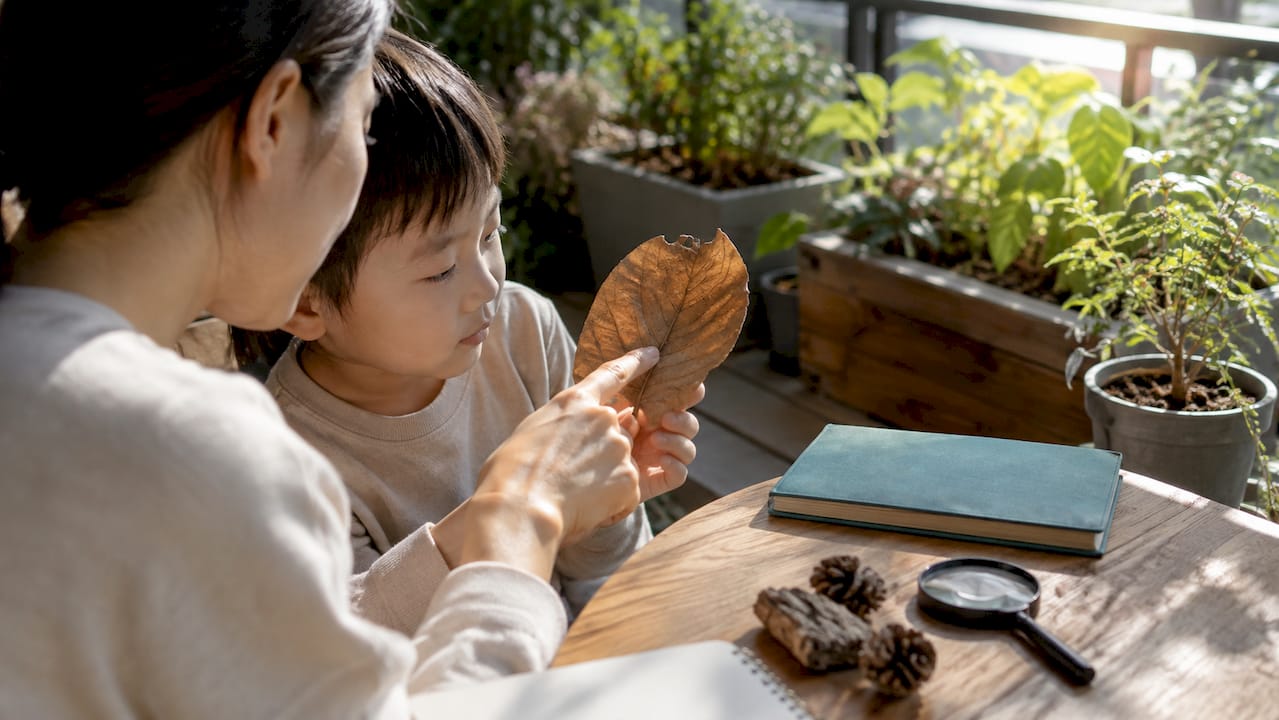 Child and caregiver exploring a nature journal