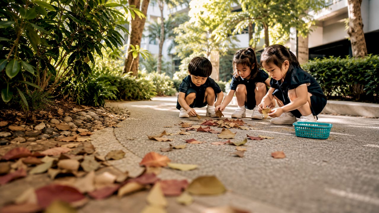 Preschoolers sorting leaves outdoors