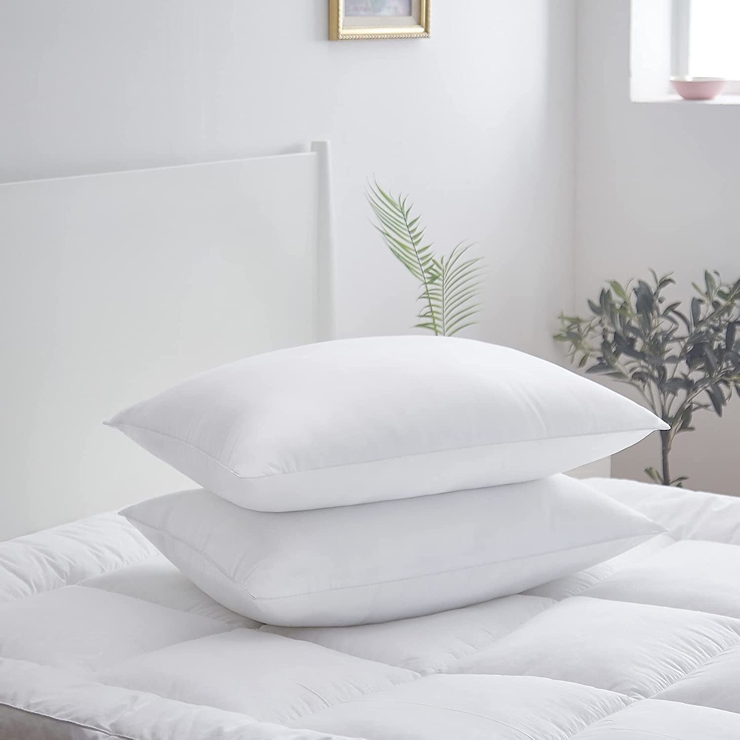 Hypo-allergenic Down Alternative Pillows (Set of 2)