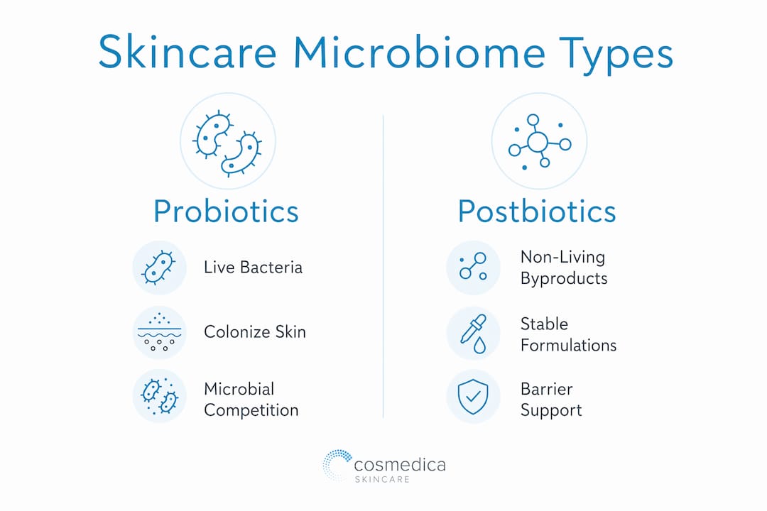 Infographic comparing probiotics and postbiotics in skincare