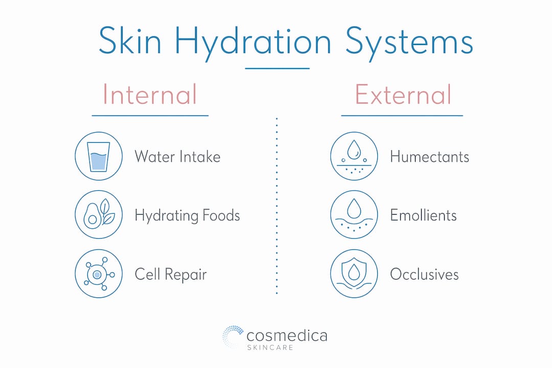 Infographic showing internal vs external skin hydration factors