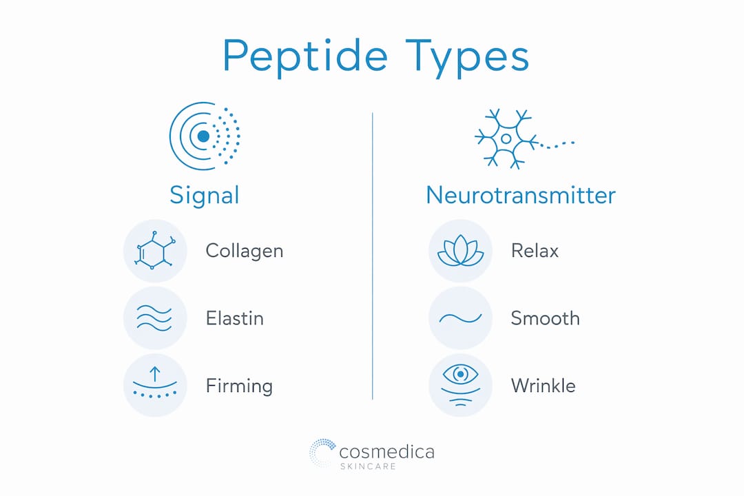 Infographic illustrating skincare peptide types