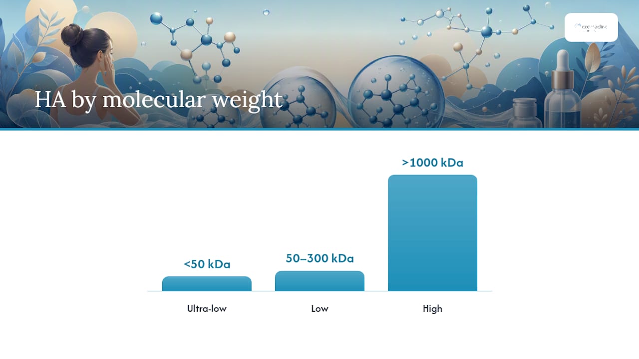 What Is Low Molecular Weight Hyaluronic Acid, and Why Does It Matter? — overview diagram