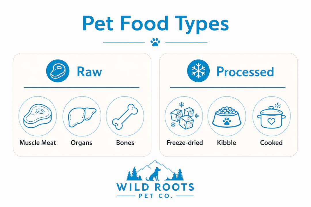 Infographic comparing raw and processed pet food types
