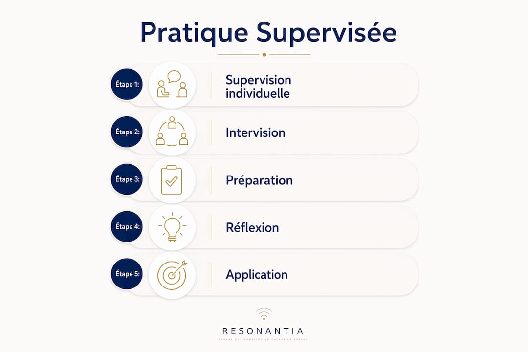 Infographie illustrant les différentes étapes de la pratique encadrée