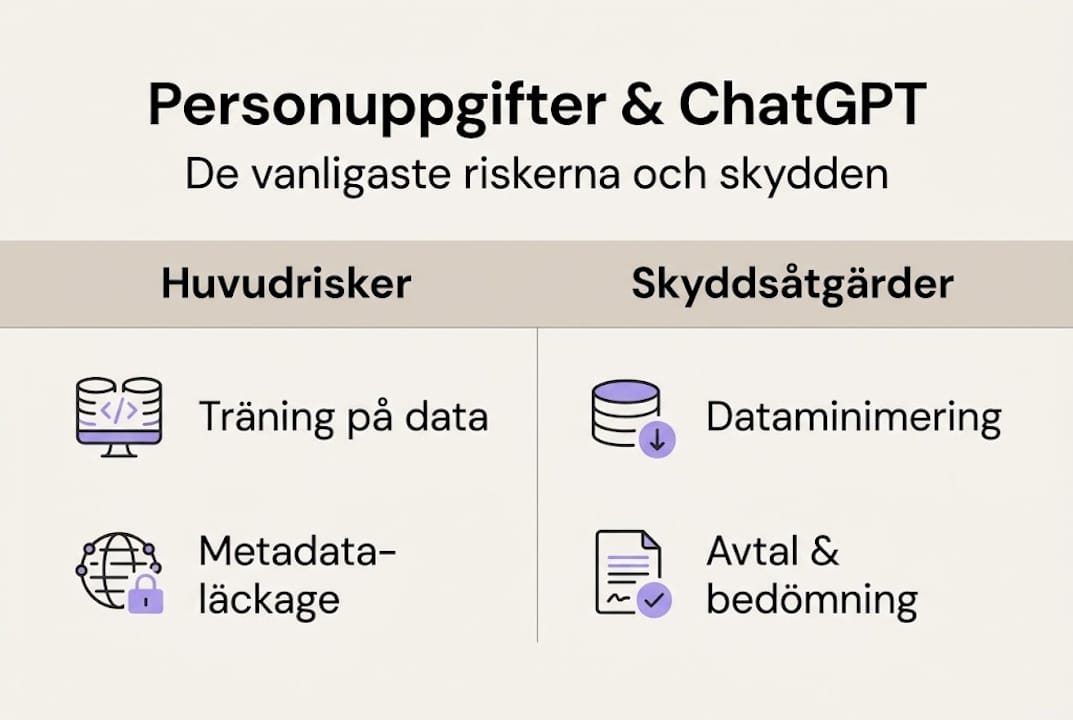 Grafisk översikt: Så skyddar du din data och undviker risker i ChatGPT
