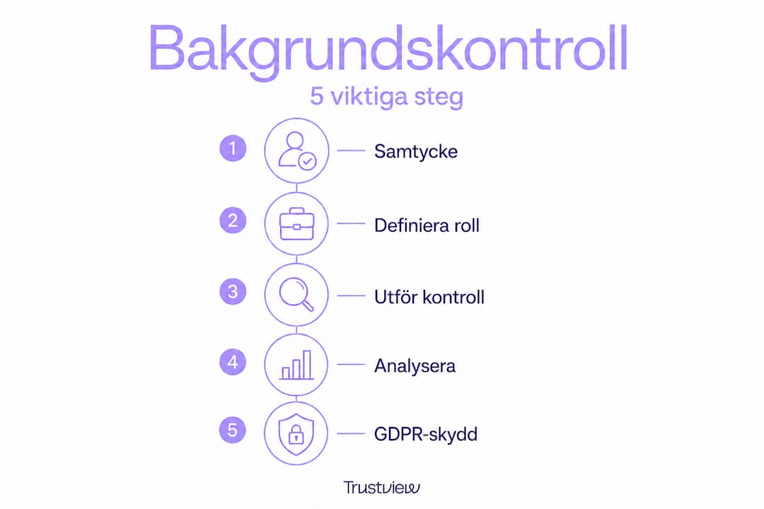 Så gör du en bakgrundskontroll – steg för steg i infografik