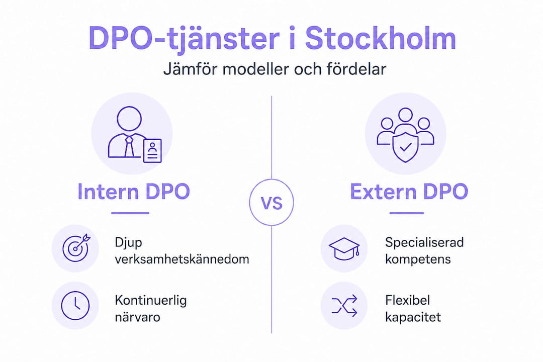 En överskådlig infografik som visar skillnader och fördelar med olika DPO-tjänster