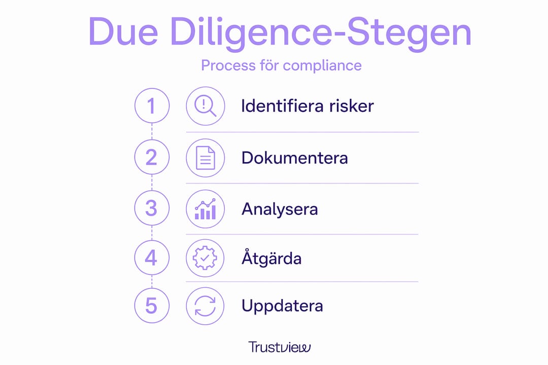Grafik som steg för steg visar hur man genomför en korrekt due diligence-process för att uppfylla regelverken.