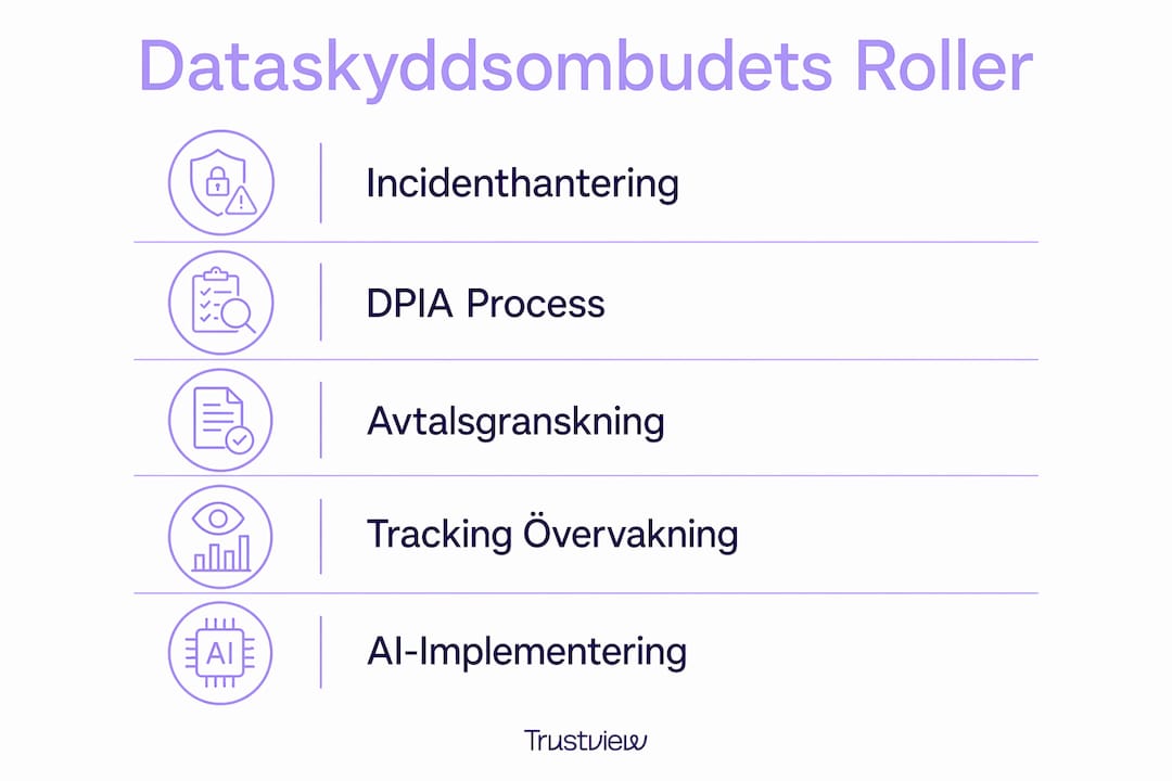 Infografik som visar dataskyddsombudets viktigaste ansvarsområden