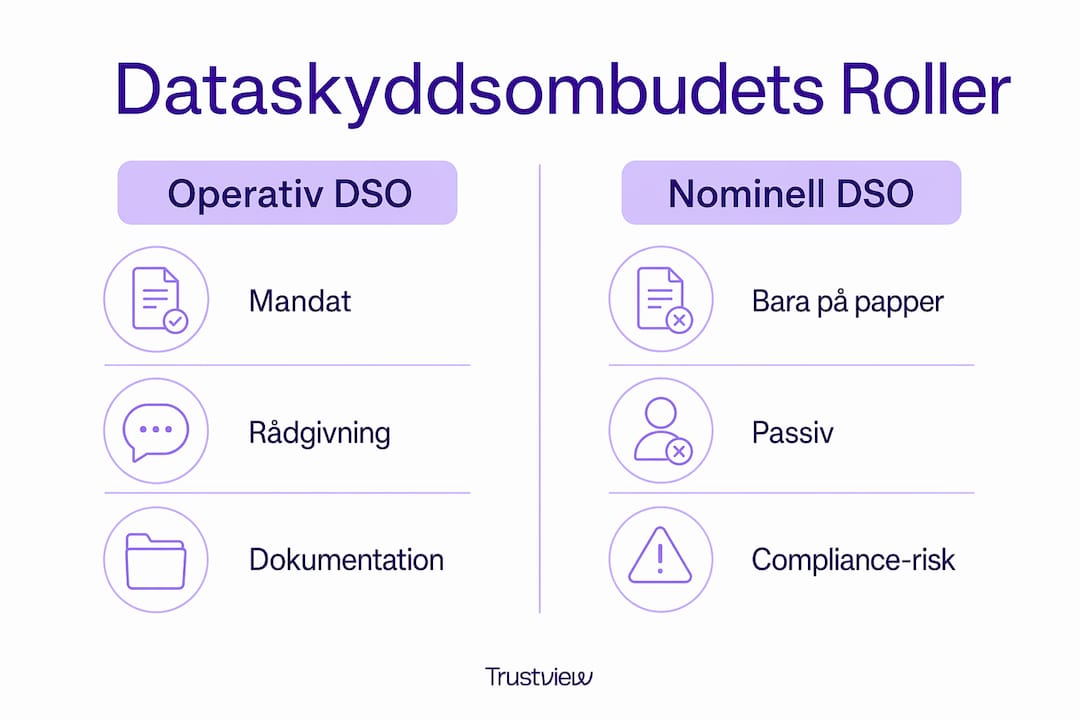 Grafisk översikt: Skillnader mellan operativ och nominell dataskyddsombudsroll