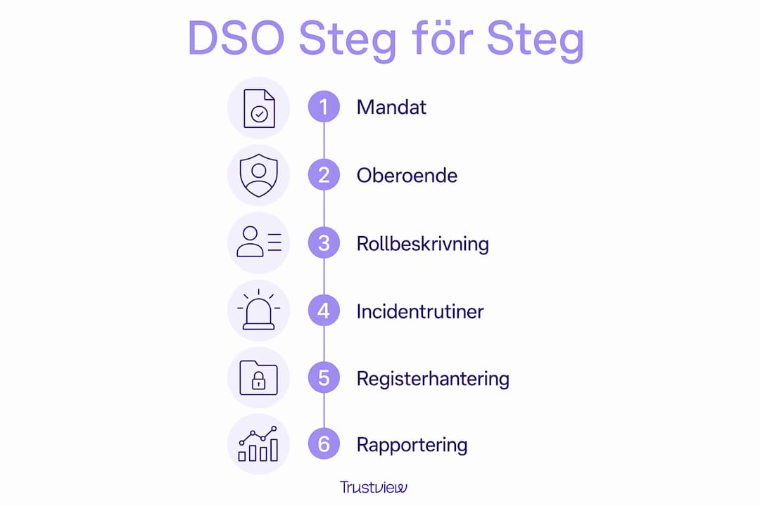 Illustration som tydligt visar de viktigaste stegen i hur en DSO-funktion fungerar
