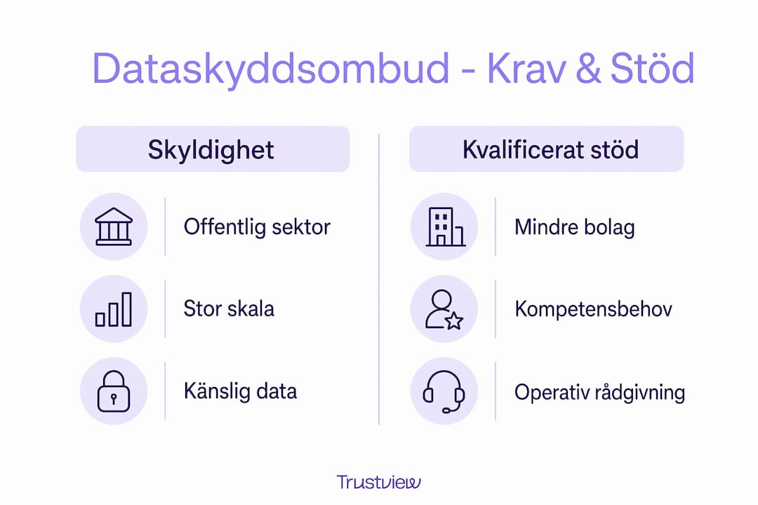 En översikt som visar skillnaderna mellan dataskyddsombudets ansvar och vilket stöd de har tillgång till
